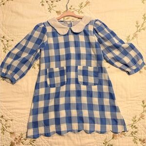 NWOT Blue and White Gingham Peter Pan Collar Dress